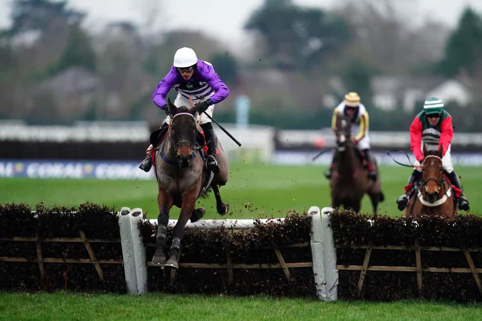 Rare Edition ridden by Harry Cobden on their way to winning the Coral Committed To Safer-Gambling Handicap Hurdle at Kempton Park (John Walton/PA)