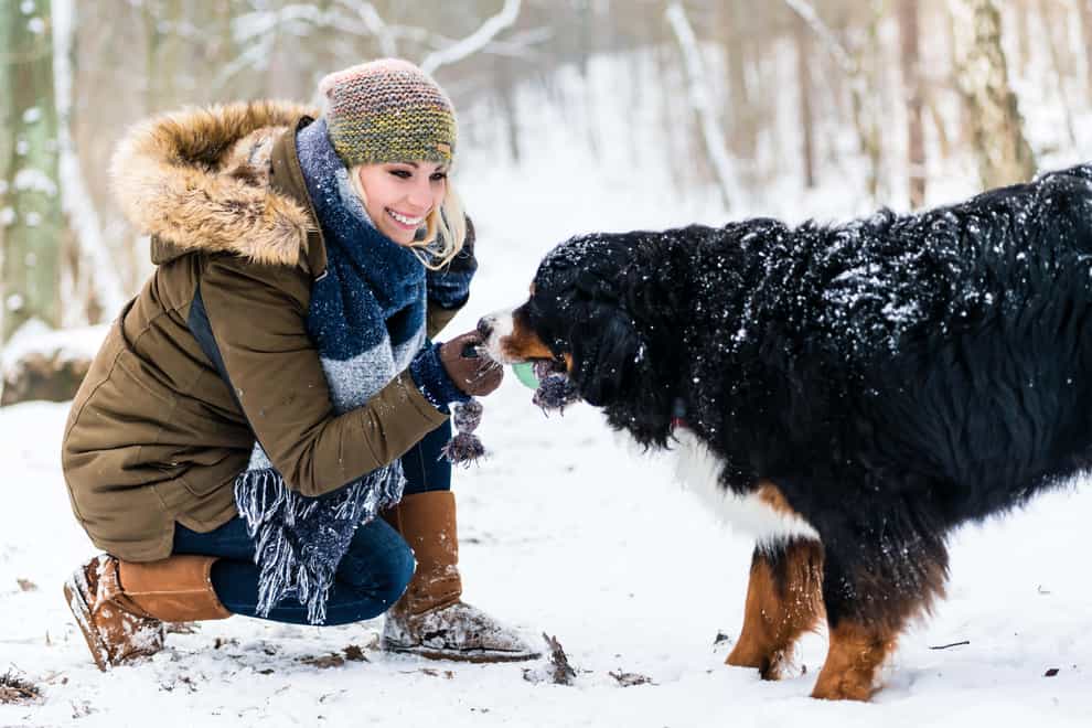 Dogs still need to get outside for their daily walks and to do their business (Alamy/PA)