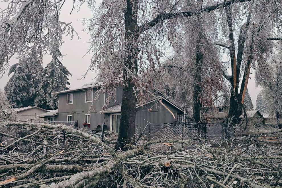 Fallen branches and ice covered trees in Creswell, Ore (Jamie Kenworthy via AP)