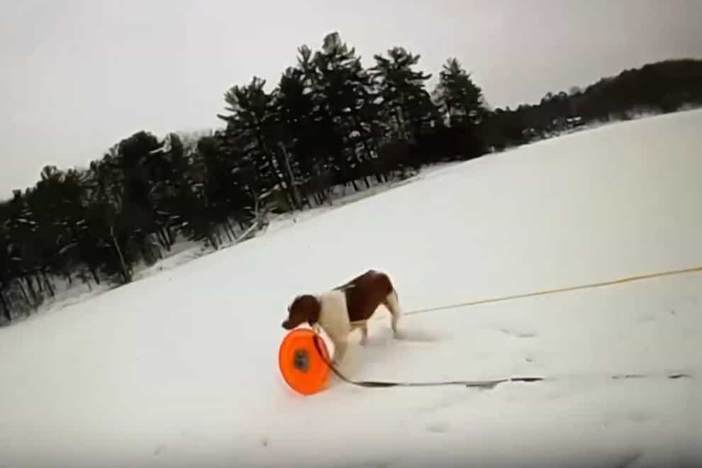 A dog named Ruby grasps a rescue disc tethered to a rope (Michigan State Police via AP)