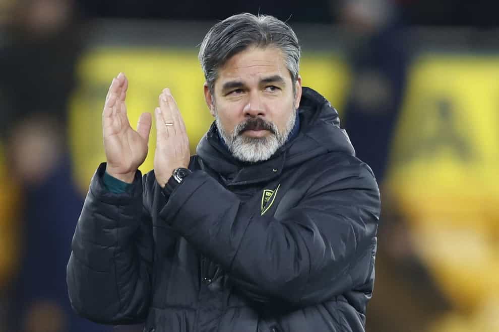 Norwich manager David Wagner praised his side’s display in the win over West Brom (Nigel French/PA)