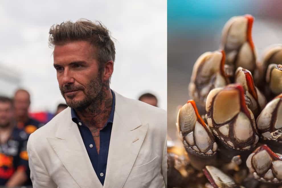David Beckham has been pictured eating percebes (Alamy/PA)