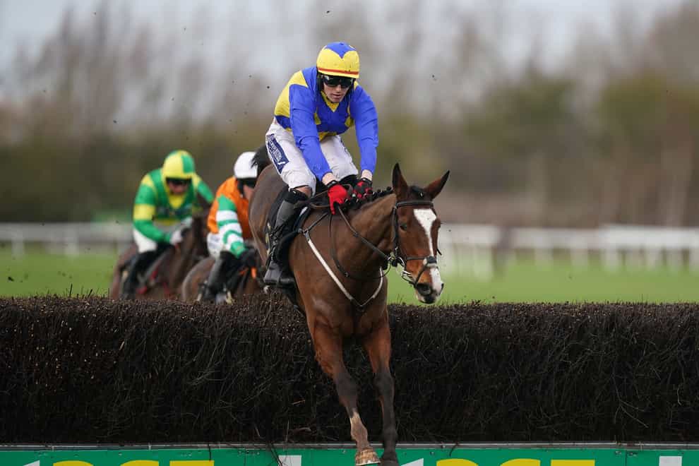 Brides Hill ridden by Keith Donoghue on the way to winning at Huntingdon (Mike Egerton/PA)