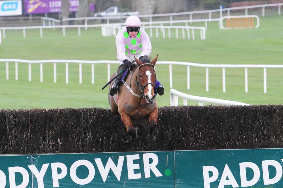 Faugheen brought the house down when winning the Flogas Novice Chase (PA Wire)