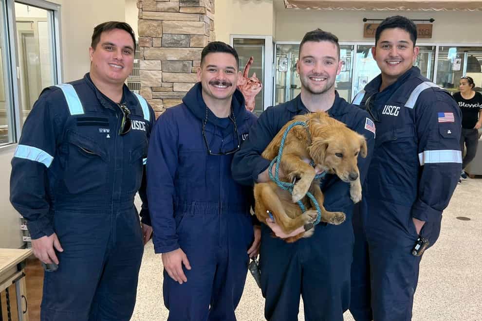 Connie the container dog had been trapped for more than a week (Petty officer 1st class Lucas Loe/US Coast Guard via AP)