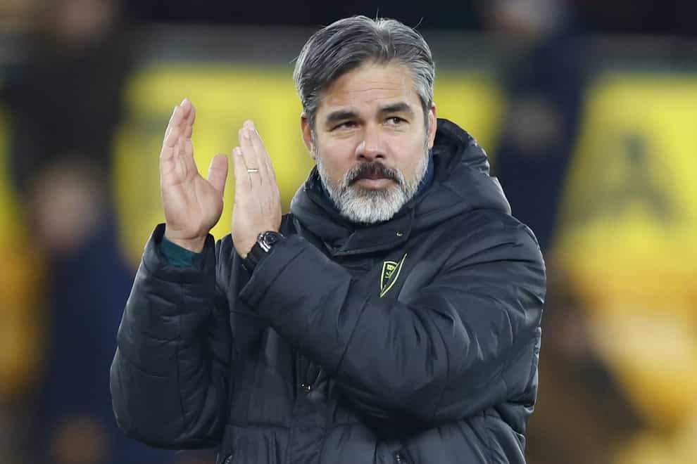 Norwich manager David Wagner praised his side’s display in the win over Coventry (Nigel French/PA)
