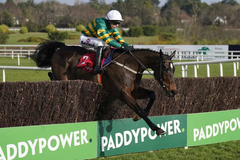 Fact to File ridden by Mark Walsh jumps the last to win The Ladbrokes Novice Steeplechase during day two of the 2024 Dublin Racing Festival at Leopardstown Racecourse. Picture date: Sunday February 4, 2024.