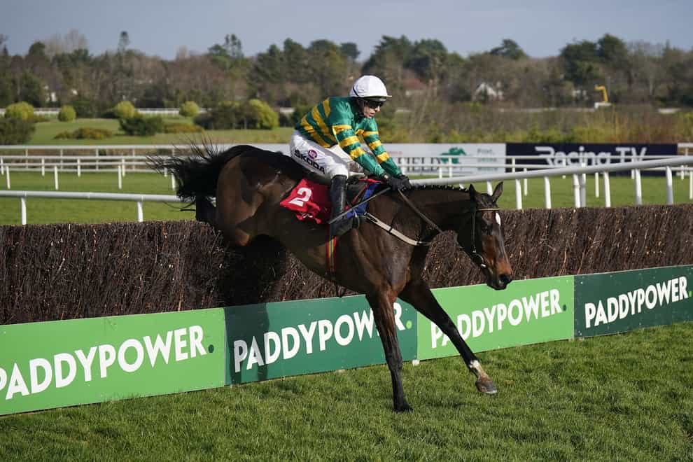 Fact To File impressed at Leopardstown (Niall Carson/PA)