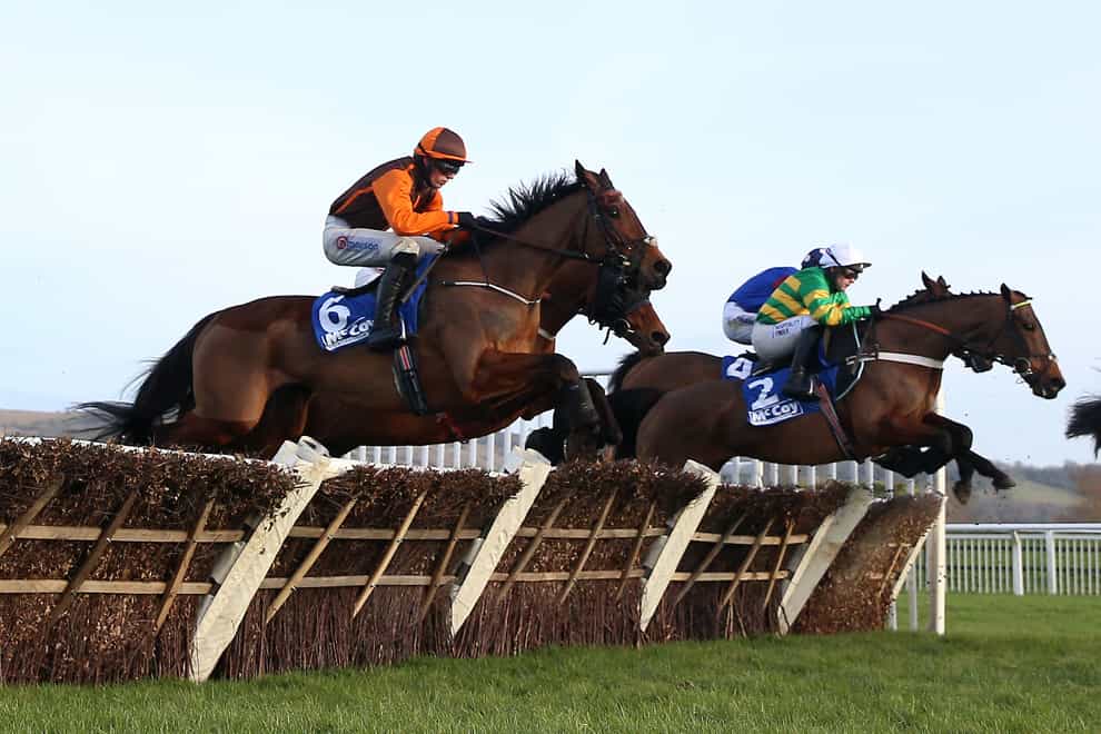 Noble Yeats has returned to hurdles wit aplomb (Nigel French/PA)