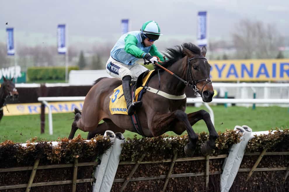 You Wear It Well ridden by Gavin Sheehan on their way to winning the Jack De Bromhead Mares’ Novices’ Hurdle on day three of the Cheltenham Festival (Mike Egerton/PA)