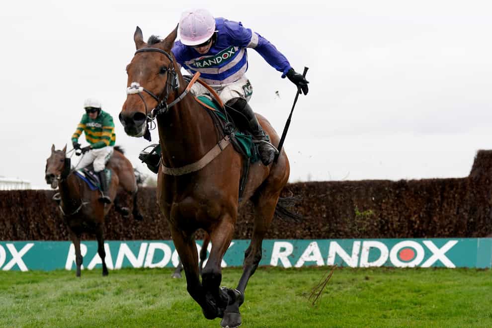 Pic D’Orhy will go for Betfair Ascot Chase glory on Saturday (Tim Goode/PA)
