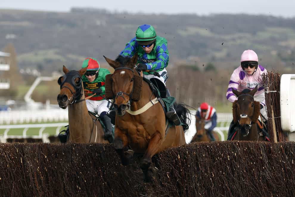 Ga Law ridden by jockey Gavin Sheehan on their way to winning the Paddy Power Cheltenham Countdown Podcast Handicap Chase during the Festival Trials Day at Cheltenham Racecourse (Nigel French/PA)