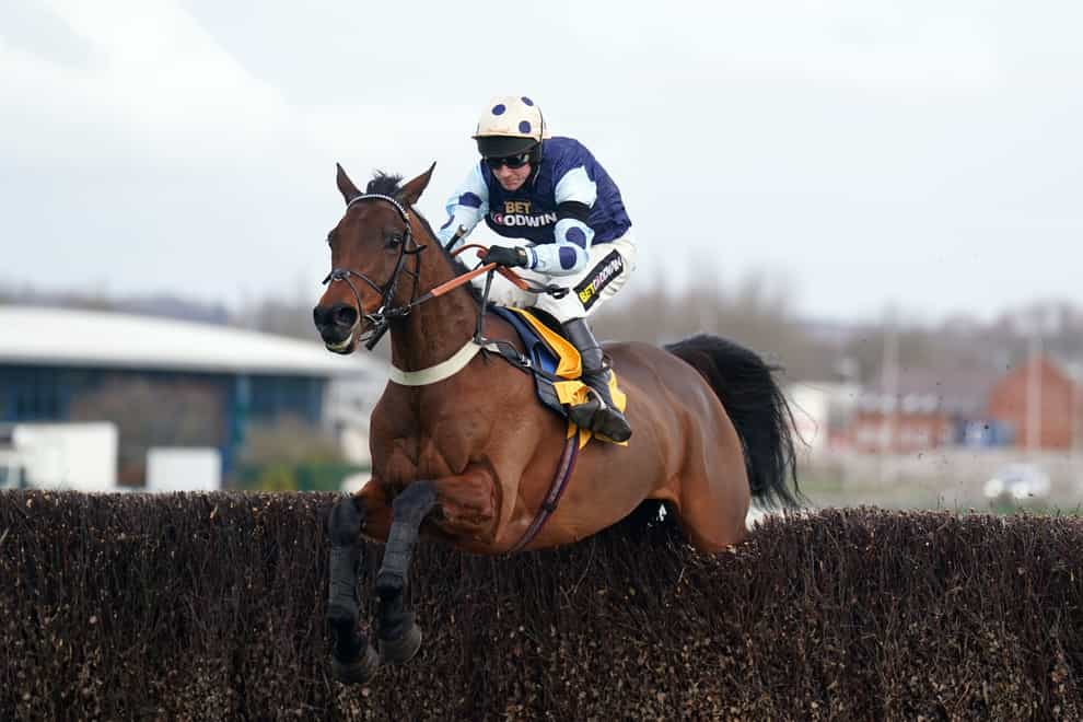 Edwardstone is a real contender for the Queen Mother Champion Chase (Adam Davy/PA)
