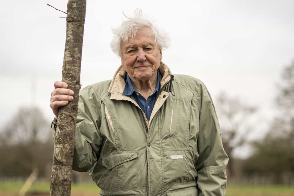 Sir David Attenborough will present Mammals (Aaron Chown/PA)