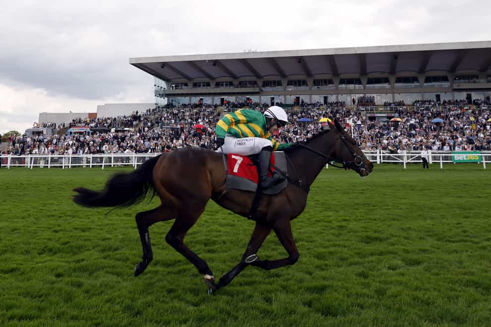 Crebilly is favourite for the Plate (Steven Paston/PA)