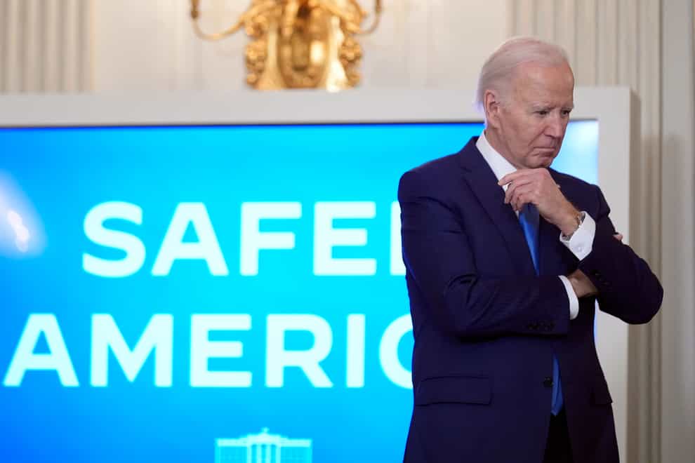 President Joe Biden (Andrew Harnik/AP)