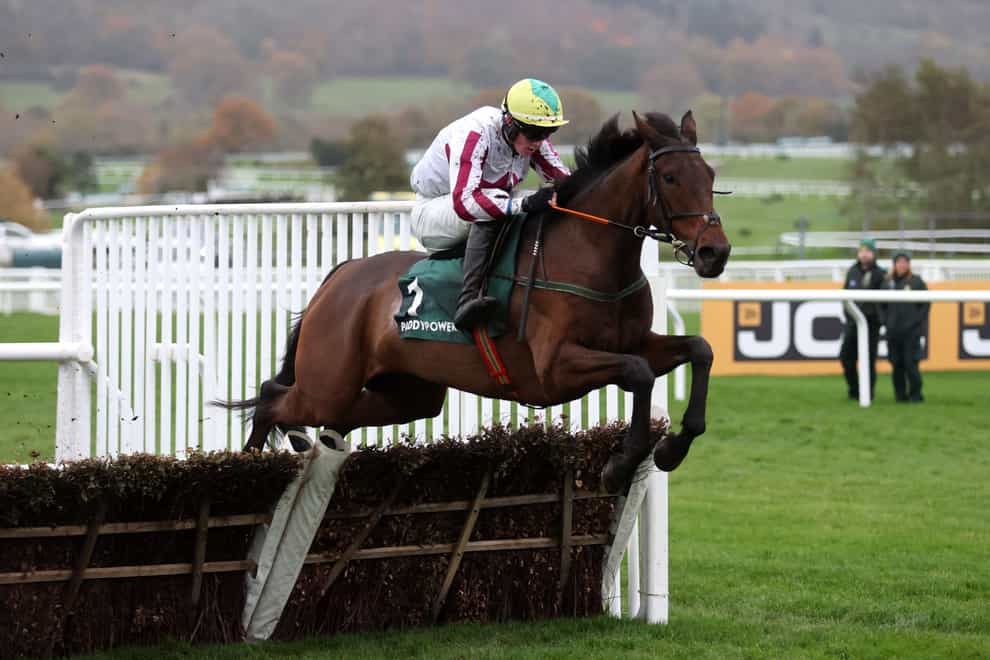 Buddy One has Stayers’ Hurdle ambitions at the Cheltenham Festival (Nigel French/PA)