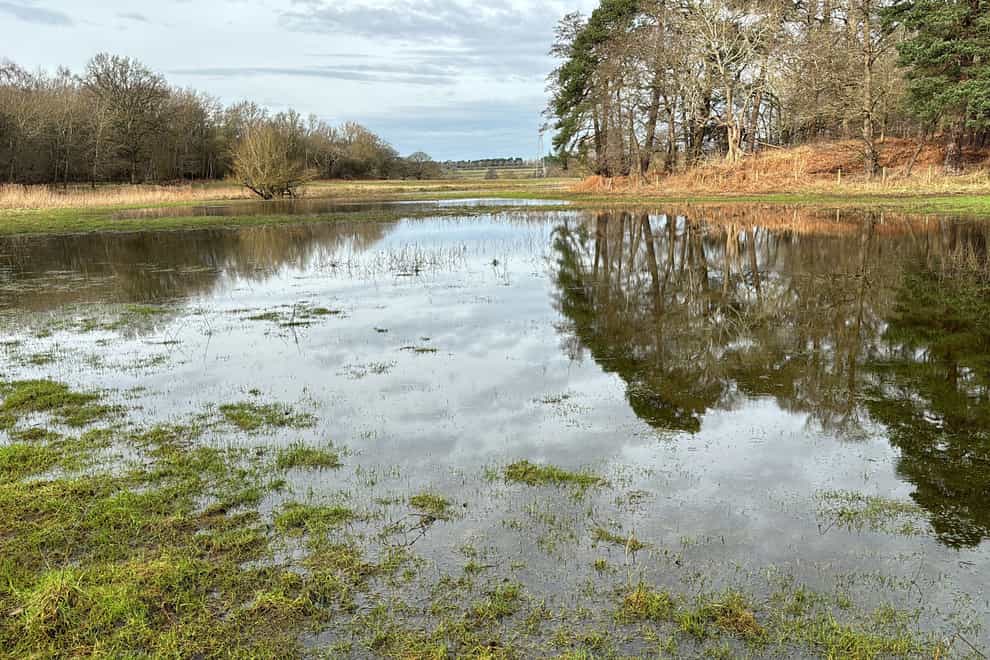 The Euston Estate in Suffolk which has been affected by the rain taken by farmer Andrew Blenkiron. (Andrew Blenkiron/PA)