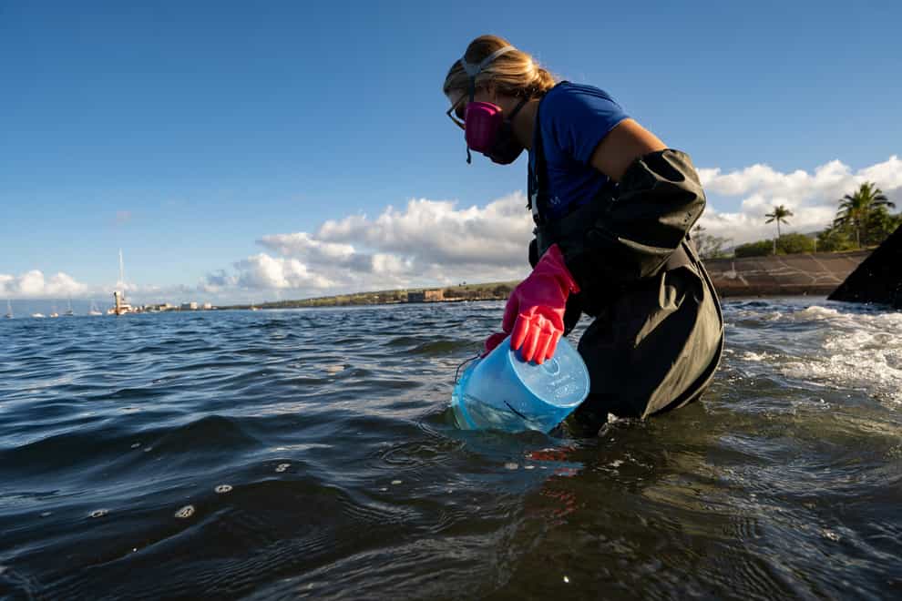 Water samples are being taken off Lahaina, Hawaii, following the devastating wildfire in the town (Mengshin Lin/AP)