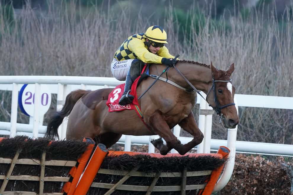 State Man is the heavy favourite for Champion Hurdle glory (Brian Lawless/PA)
