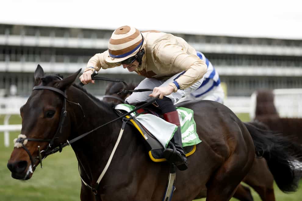 Broadway Boy heads to the Brown Advisory Novices’ Chase at the Cheltenham Festival (Nigel French/PA)