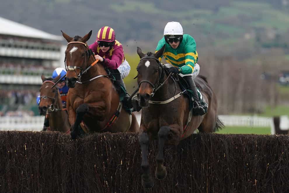 Fact To File ridden by Mark Walsh on their way to winning the Gallagher Novices’ Hurdle on day two of the 2024 Cheltenham Festival at Cheltenham Racecourse. Picture date: Wednesday March 13, 2024.
