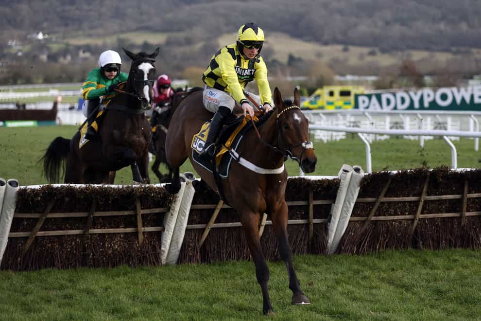Sir Gino is out of the Triumph Hurdle (Nigel French/PA)