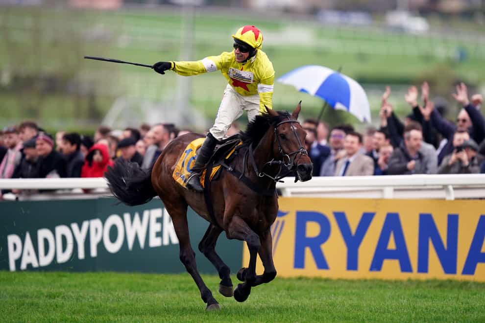 Harry Skelton aboard Protektorat after winning the Ryanair Steeple Chase on day three of the 2024 Cheltenham Festival at Cheltenham Racecourse. Picture date: Thursday March 14, 2024.
