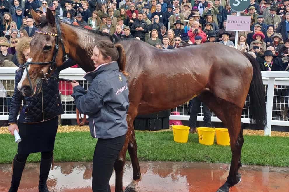 Corach Rambler after finishing third in the Cheltenham Gold Cup (Ashley Iveson/PA)