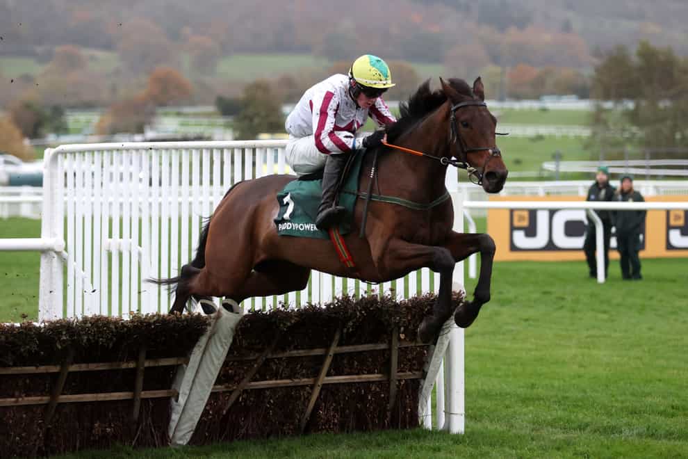 Buddy One could run at Aintree after his heroic Cheltenham effort (Nigel French/PA)