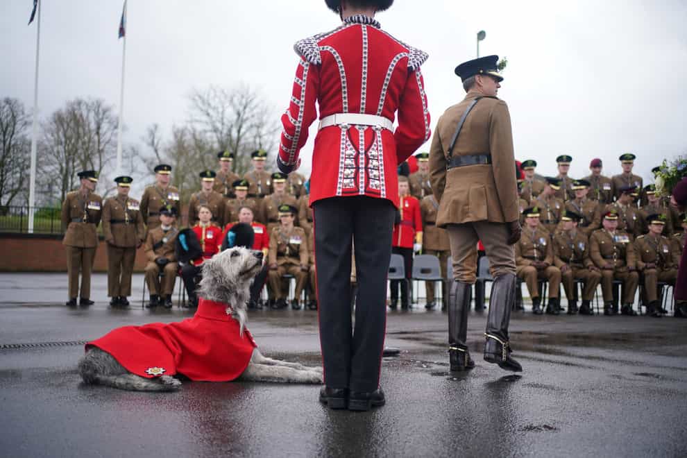 Irish Guardsmen marched on to the Parade Square at Mons Barracks, Aldershot, led by their canine mascot (Yui Mok/PA)