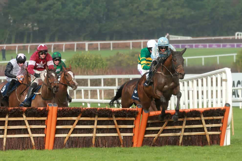 Kargese went close to victory at Cheltenham (PA)