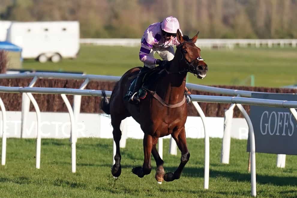 Regent’s Stroll ridden by Harry Cobden on their way to winning the Goffs UK Spring Sale Bumper at Newbury Racecourse. Picture date: Saturday March 23, 2024.