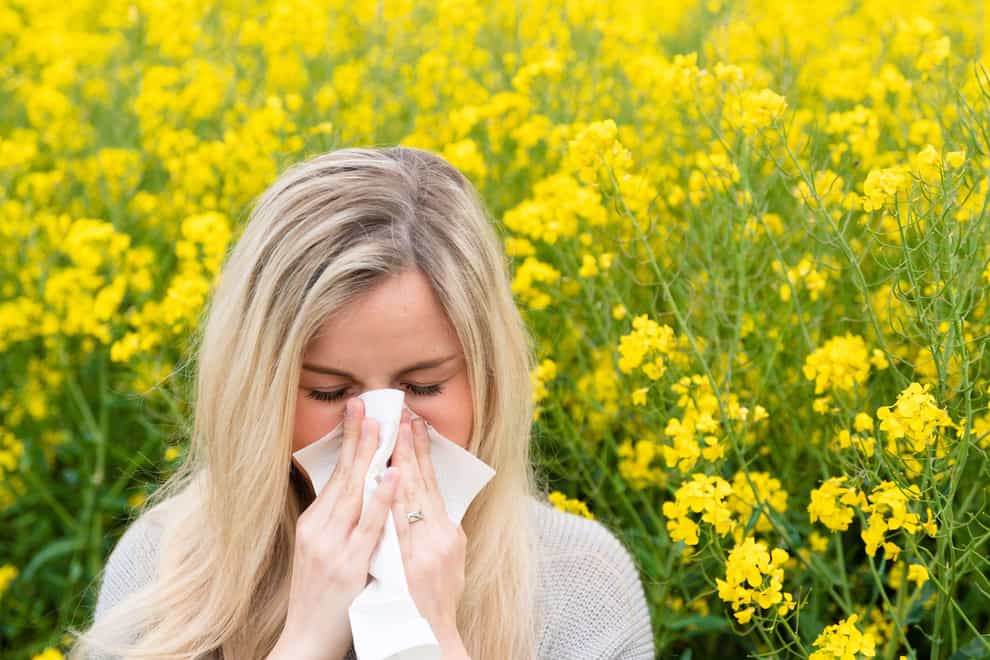 As spring approaches in the UK, approximately 10 million Britons will experience “absolute misery” as the effects of hay fever begin to set in (Alamy/PA)