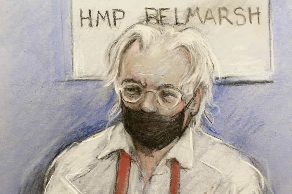 Court artist sketch by Elizabeth Cook of Julian Assange appearing by video link at the High Court in London in 2021 (Elizabeth Cook/PA)