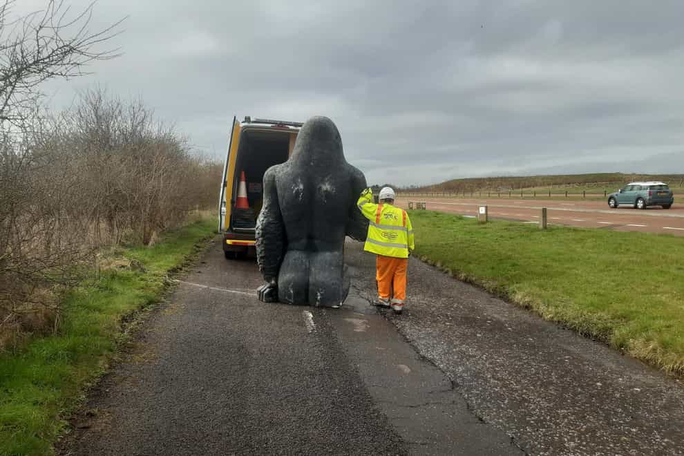Gary the Gorilla was found hidden in bushes in a layby (Bear Scotland/PA)