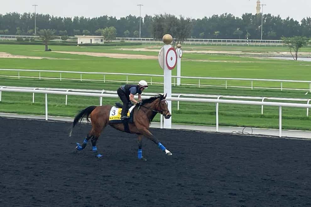 Nashwa looked on good terms with herself at Meydan (PA)