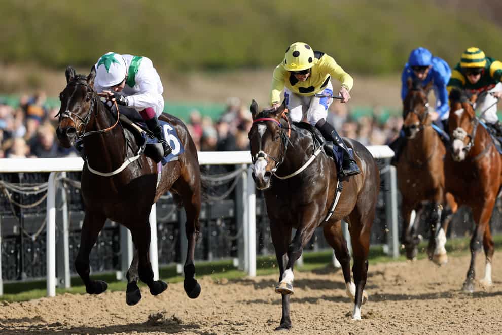 Cuban Tiger (right) just gets up in the Burradon (Richard Sellers/PA)