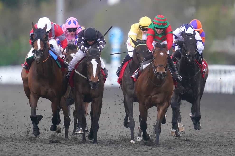 Al Barez (third right, red and green cap) was back on the scoresheet at Kempton (Adam Davy/PA)
