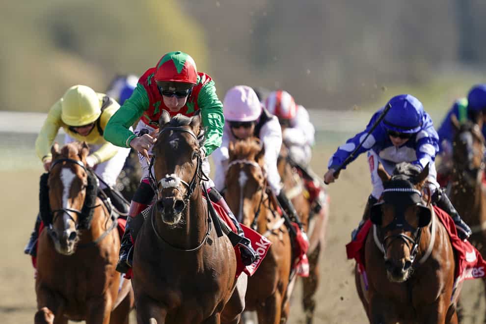 Diligent Harry (green/red) winning at Lingfield (Alan Crowhurst/PA)