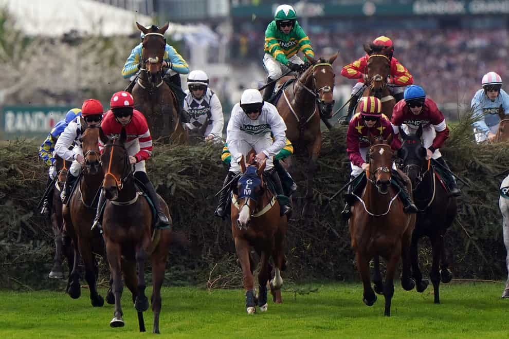 Mahler Mission in the Randox Grand National Handicap Chase (Bradley Collyer/PA)