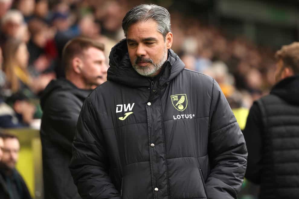 Norwich manager David Wagner (George Tewkesbury/PA)