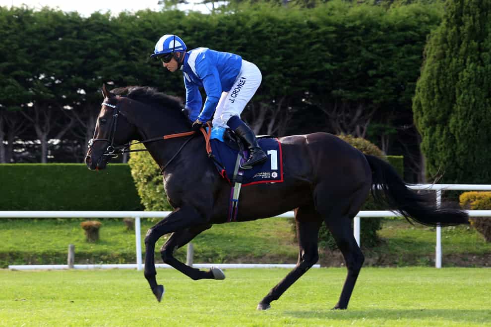 Alflaila with Jim Crowley canters to the start for the Royal Bahrain Irish Champion Stakes at Leopardstown Racecourse, Dublin (Damien Eagers/PA)