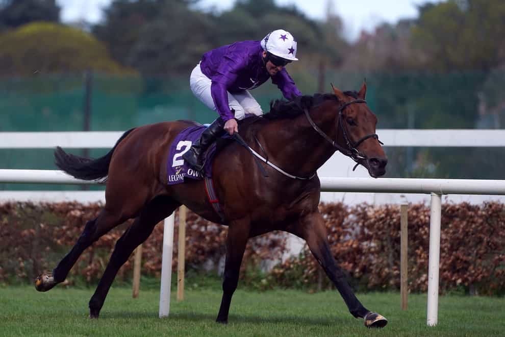 Dallas Star dazzled at Leopardstown (Brian Lawless/PA)