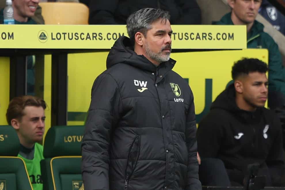 Norwich manager David Wagner was pleased with the performance against Swansea (George Tewkesbury/PA)