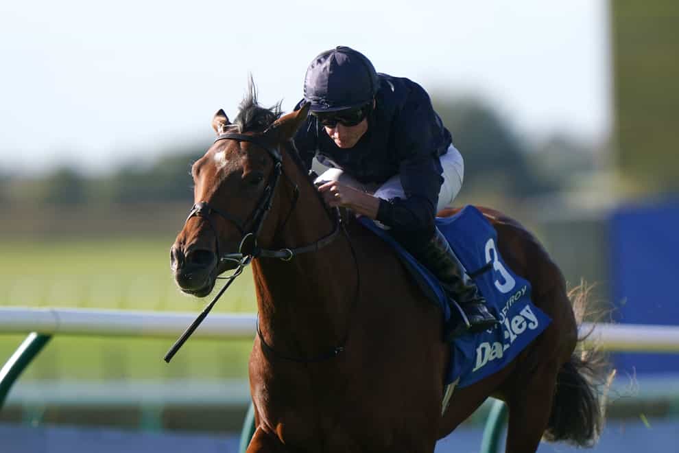 City Of Troy is the star attraction in the Qipco 2000 Guineas (Tim Goode/The Jockey Club)