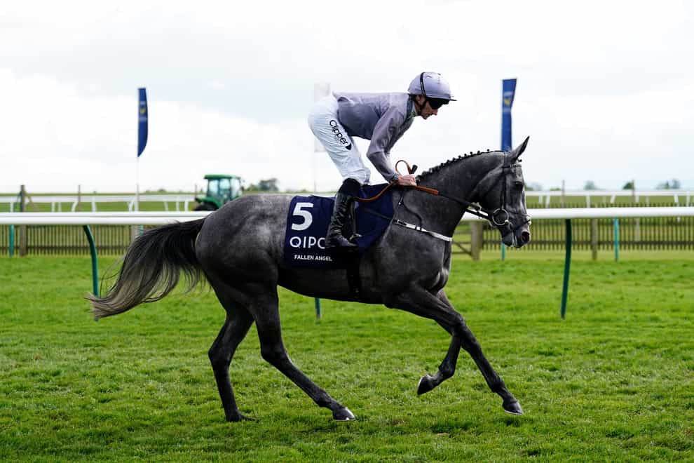 Fallen Angel goes to post ahead of the Qipco 1000 Guineas at Newmarket (John Walton/PA)